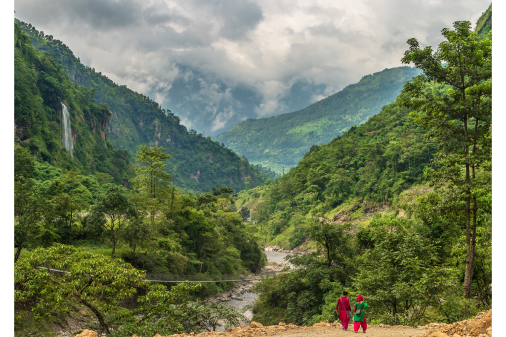 How Nepal Regenerated its Forests Communities know their Forests Best